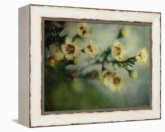 Flowers Strewn-Irene Suchocki-Framed Premier Image Canvas