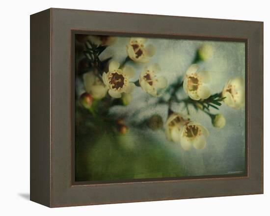 Flowers Strewn-Irene Suchocki-Framed Premier Image Canvas