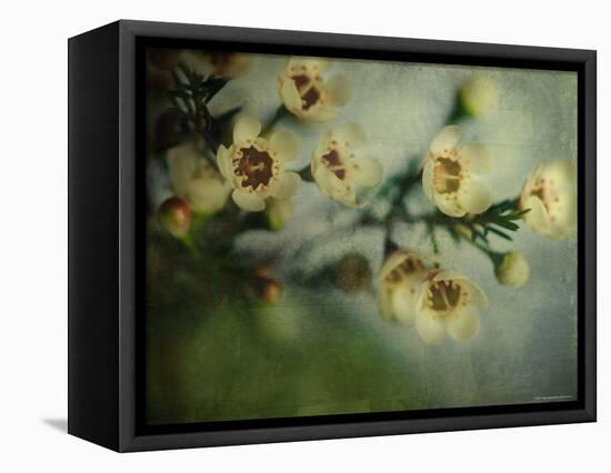 Flowers Strewn-Irene Suchocki-Framed Premier Image Canvas