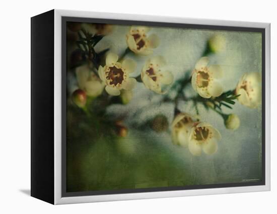 Flowers Strewn-Irene Suchocki-Framed Premier Image Canvas