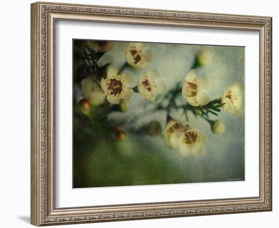 Flowers Strewn-Irene Suchocki-Framed Photographic Print