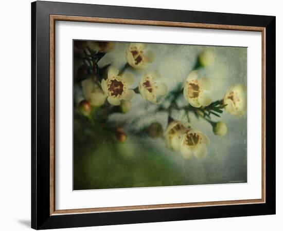 Flowers Strewn-Irene Suchocki-Framed Photographic Print