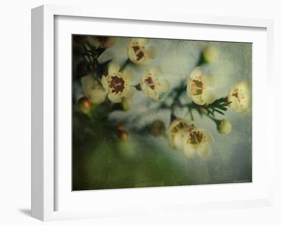 Flowers Strewn-Irene Suchocki-Framed Photographic Print