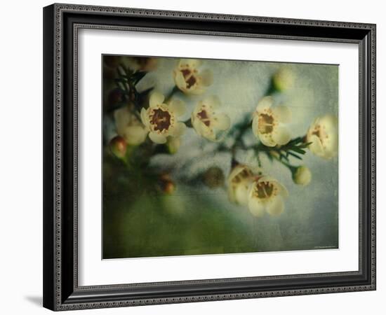 Flowers Strewn-Irene Suchocki-Framed Photographic Print