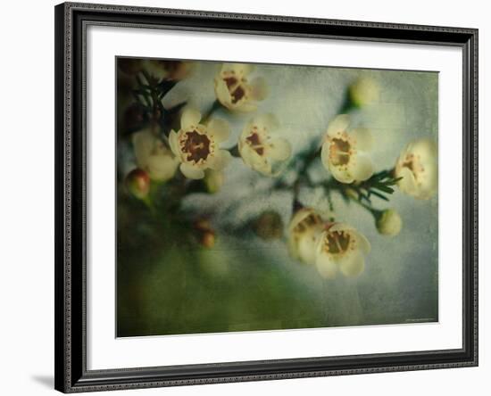 Flowers Strewn-Irene Suchocki-Framed Photographic Print