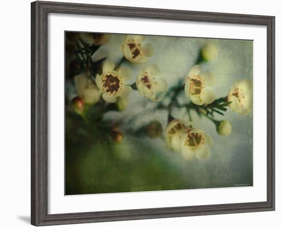 Flowers Strewn-Irene Suchocki-Framed Photographic Print