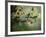 Flowers Strewn-Irene Suchocki-Framed Photographic Print