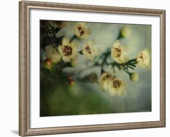 Flowers Strewn-Irene Suchocki-Framed Photographic Print