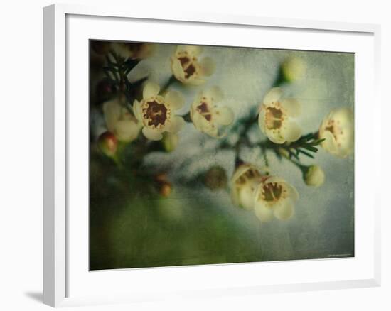 Flowers Strewn-Irene Suchocki-Framed Photographic Print