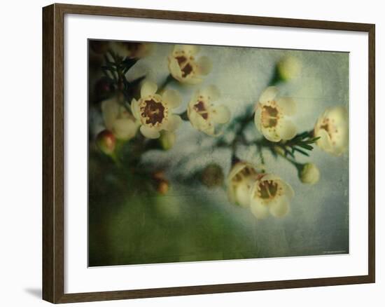 Flowers Strewn-Irene Suchocki-Framed Photographic Print