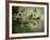 Flowers Strewn-Irene Suchocki-Framed Photographic Print