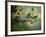 Flowers Strewn-Irene Suchocki-Framed Photographic Print