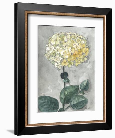 Flowers Study 1-Marietta Cohen Art and Design-Framed Giclee Print