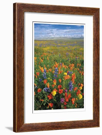 Flowers to the Horizon I-Donald Paulson-Framed Giclee Print