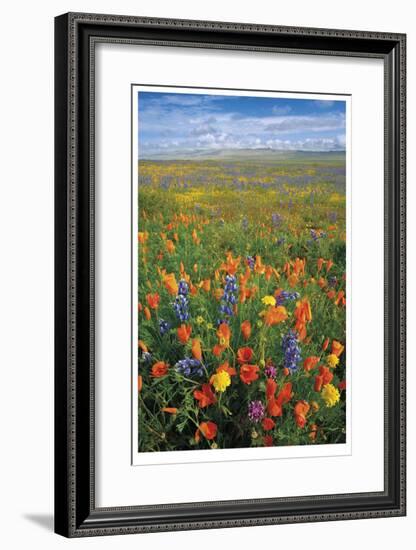 Flowers to the Horizon I-Donald Paulson-Framed Giclee Print