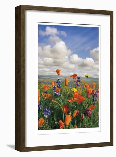 Flowers to the Horizon III-Donald Paulson-Framed Giclee Print