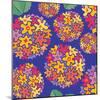 Flowers, Tupirosa Color-Belen Mena-Mounted Giclee Print