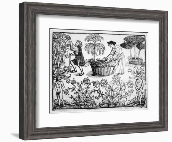 Flowers Vines Shrubs and Mandrakes in a Medieval Herb Garden-null-Framed Art Print