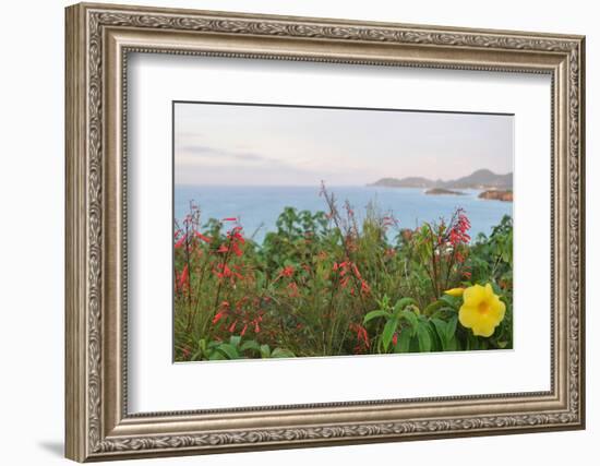 Flowers with a serene ocean background-Stacy Bass-Framed Photo