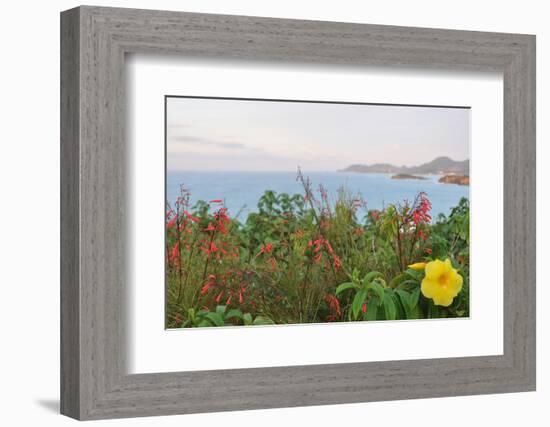 Flowers with a serene ocean background-Stacy Bass-Framed Photo