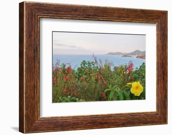 Flowers with a serene ocean background-Stacy Bass-Framed Photo