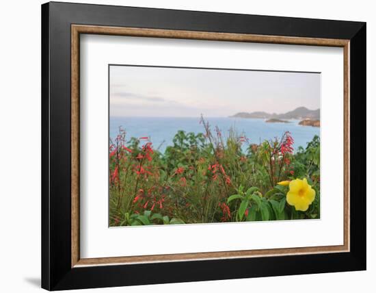 Flowers with a serene ocean background-Stacy Bass-Framed Photo