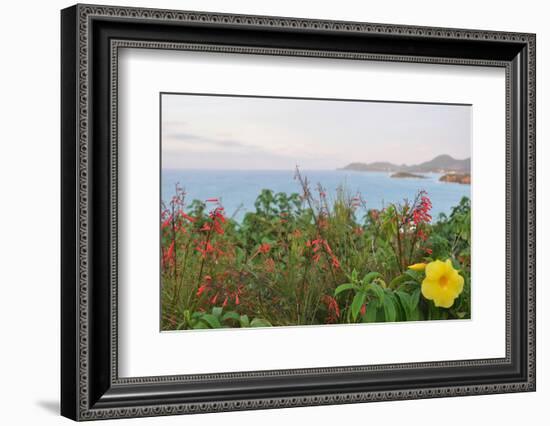 Flowers with a serene ocean background-Stacy Bass-Framed Photo