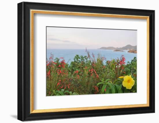 Flowers with a serene ocean background-Stacy Bass-Framed Photo