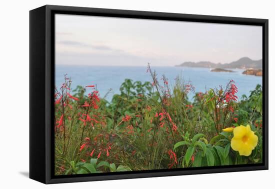 Flowers with a serene ocean background-Stacy Bass-Framed Stretched Canvas