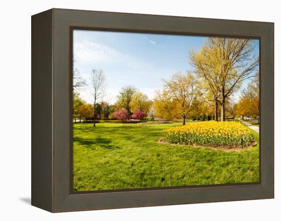 Flowers with Trees at Sherwood Gardens, Baltimore, Maryland, USA-null-Framed Stretched Canvas