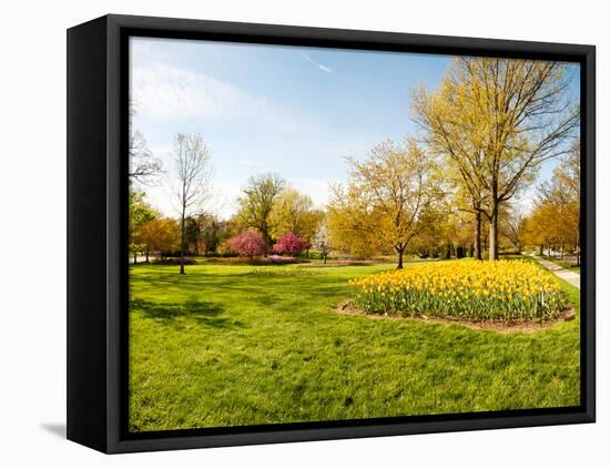 Flowers with Trees at Sherwood Gardens, Baltimore, Maryland, USA-null-Framed Stretched Canvas