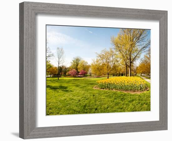 Flowers with Trees at Sherwood Gardens, Baltimore, Maryland, USA-null-Framed Photographic Print