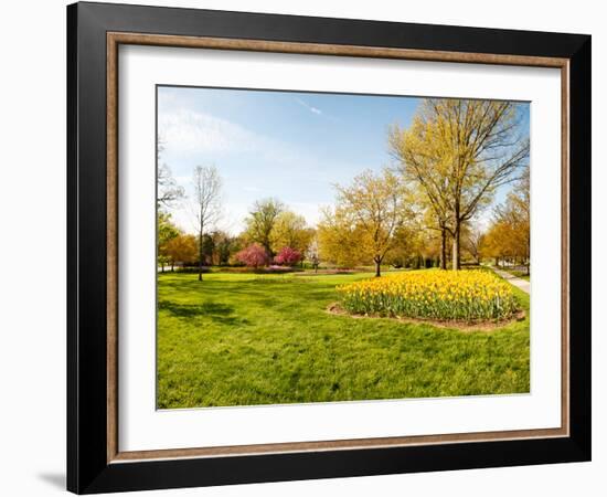 Flowers with Trees at Sherwood Gardens, Baltimore, Maryland, USA-null-Framed Photographic Print