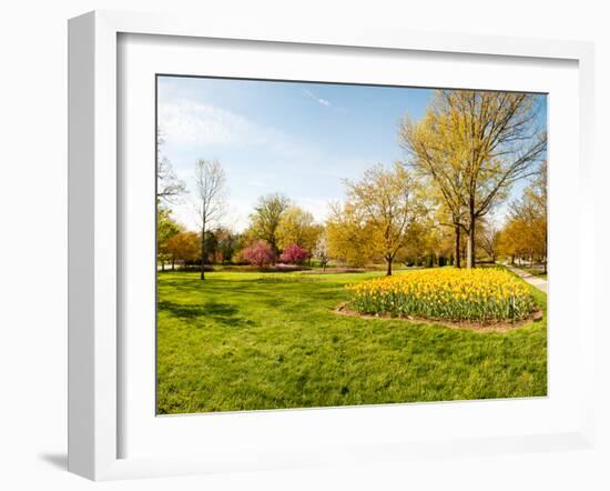 Flowers with Trees at Sherwood Gardens, Baltimore, Maryland, USA-null-Framed Photographic Print