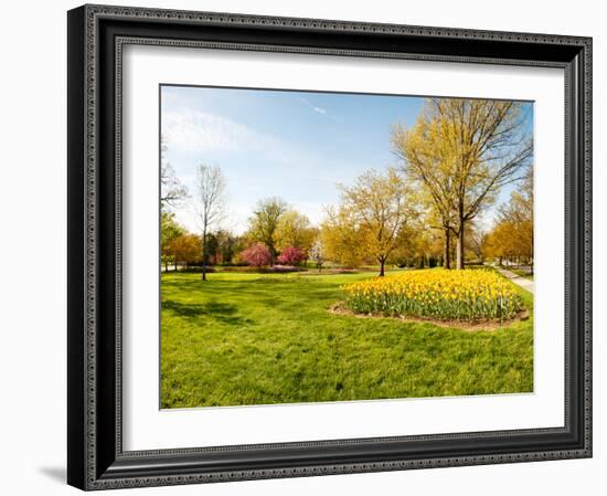 Flowers with Trees at Sherwood Gardens, Baltimore, Maryland, USA-null-Framed Photographic Print