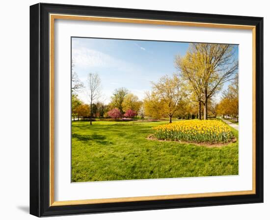 Flowers with Trees at Sherwood Gardens, Baltimore, Maryland, USA-null-Framed Photographic Print