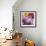 Flowers-Stacy Bass-Framed Giclee Print displayed on a wall