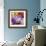 Flowers-Stacy Bass-Framed Giclee Print displayed on a wall