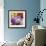 Flowers-Stacy Bass-Framed Giclee Print displayed on a wall