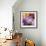 Flowers-Stacy Bass-Framed Giclee Print displayed on a wall