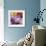 Flowers-Stacy Bass-Framed Giclee Print displayed on a wall