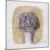 Flowers-Morandi Giorgio-Mounted Giclee Print