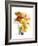 Flowers-Andrzej Pluta-Framed Giclee Print