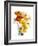 Flowers-Andrzej Pluta-Framed Giclee Print