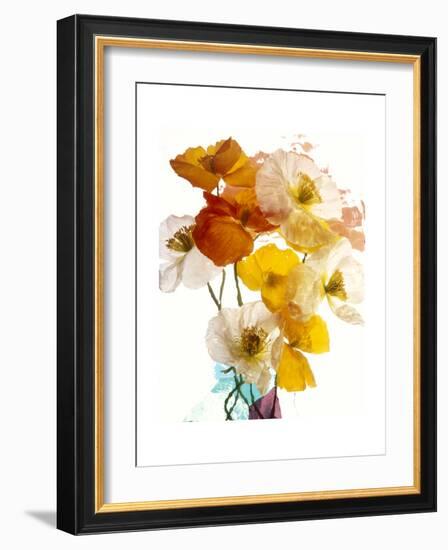 Flowers-Andrzej Pluta-Framed Giclee Print