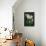 Flowers-Gordon Semmens-Framed Premier Image Canvas displayed on a wall
