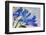Flowers-Andr? Burian-Framed Photographic Print