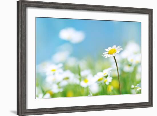 Flowers-photoslb com-Framed Photographic Print