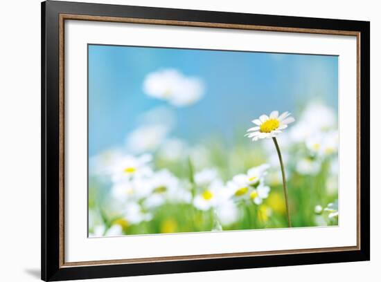 Flowers-photoslb com-Framed Photographic Print