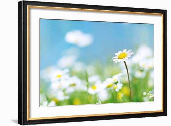 Flowers-photoslb com-Framed Photographic Print